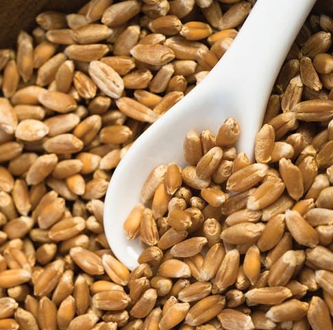 Almond Banana Wheatberry Cereal 
