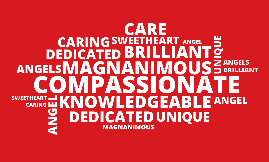 A word cloud displays the many adjectives people shared with CSC when describing their oncology social worker, including caring, dedicated, compassionate, and knowledgeable.