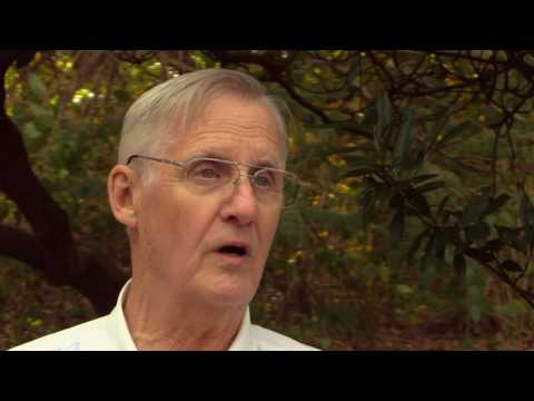 Karl: Immunotherapy and Bladder Cancer