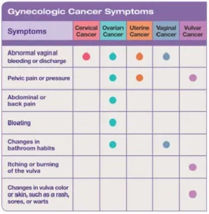 Gynecologic Cancer Symptoms: abdominal vaginal bleeding or discharge, pelvic pain or pressure, abdominal or back pain, bloating, changes in bathroom habits, itching or burning of the vulva, changes in vulva color or skin such as a rash, sores, or warts