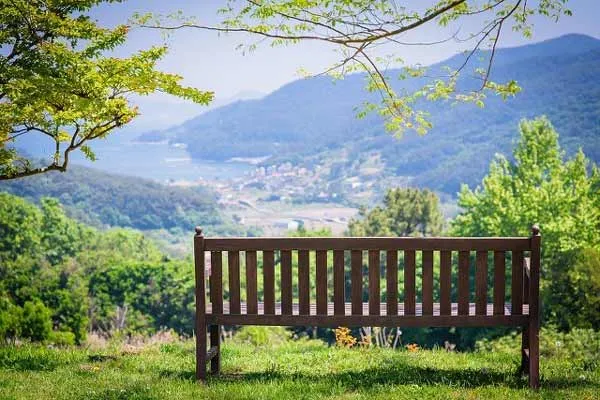 bench-compressed.jpg