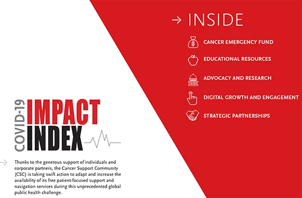 csc_covid_impact_index_preview.png