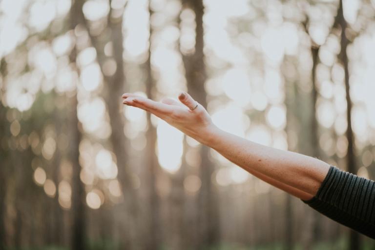 Yoga wellness exercise