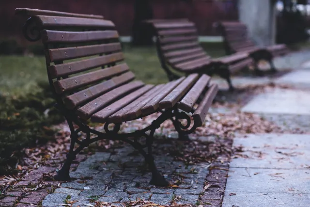 Silent bench in the park