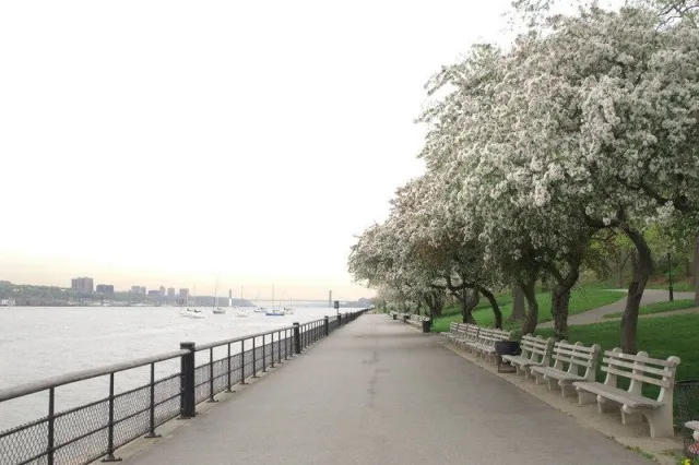 park pathway with trees and water