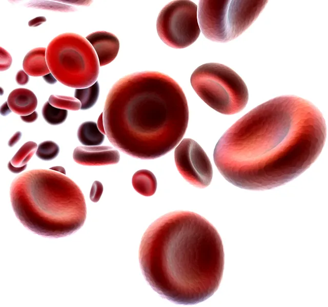 microscope view of Myeloproliferative Neoplasms