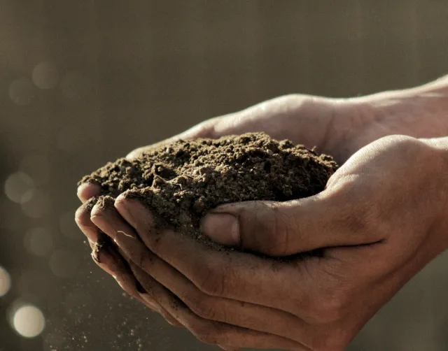 hands holding soil