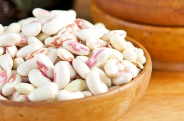 Uncooked cannellini beans in a wood bowl