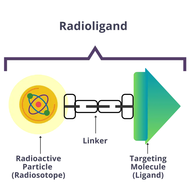 diagram of a radioligand