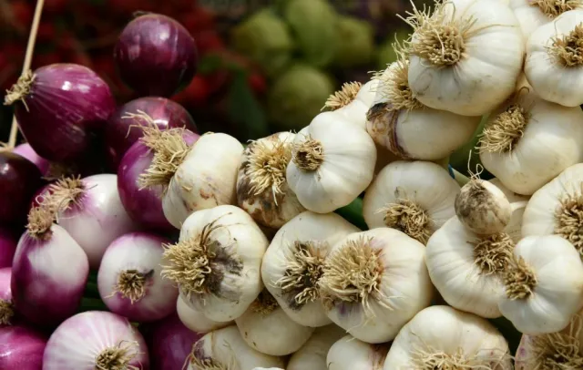 A display of bulk red onions alongside garlic cloves 