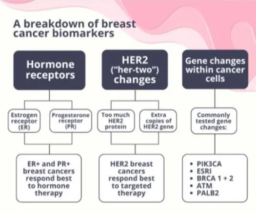 breast cancer biomarkers breakdown