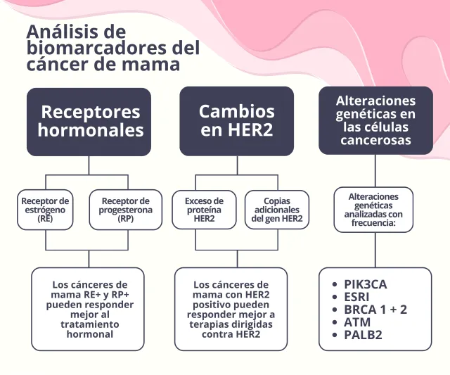 Breast cancer flow chart in spanish