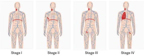 Staging Graphic