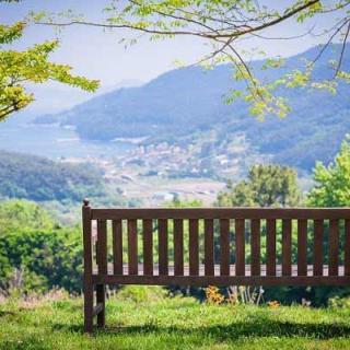bench-compressed.jpg
