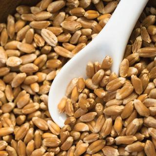 Almond Banana Wheatberry Cereal