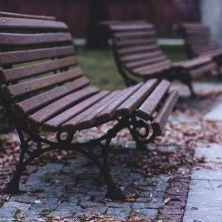 Silent bench in the park