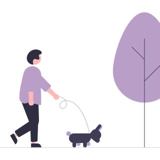 A light purple illustration depicts a woman walking a small dog beside a tree