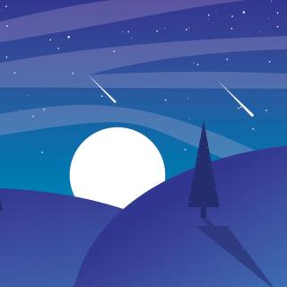 A blue-toned illustration of a night sky, pine trees, and shooting stars