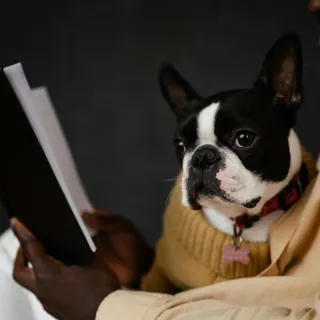 A man sitting with an open book and pet dog in his lap