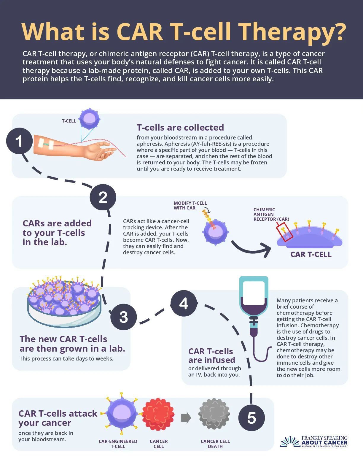 What is CAR T Cell Therapy