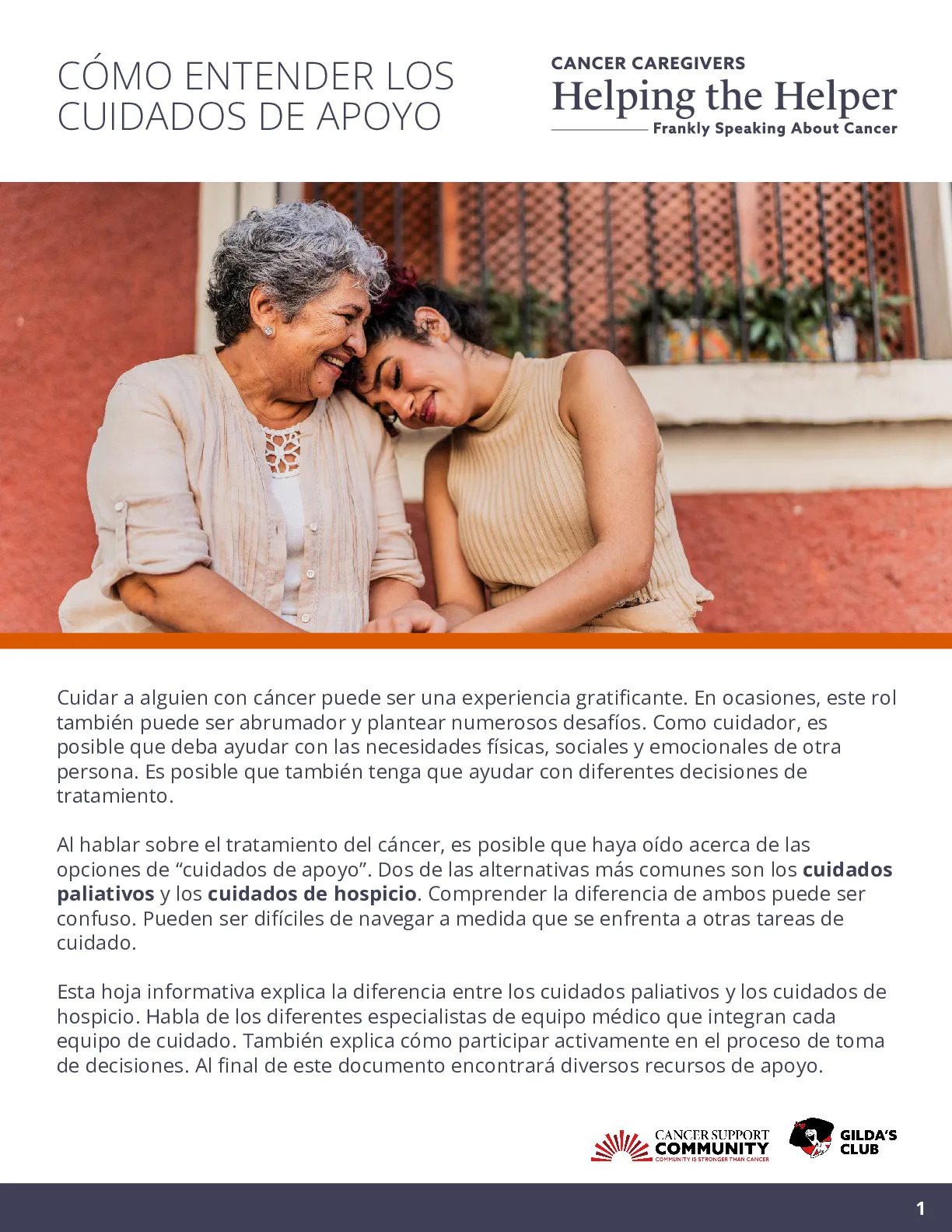 CÓMO ENTENDER LOS CUIDADOS DE APOYO