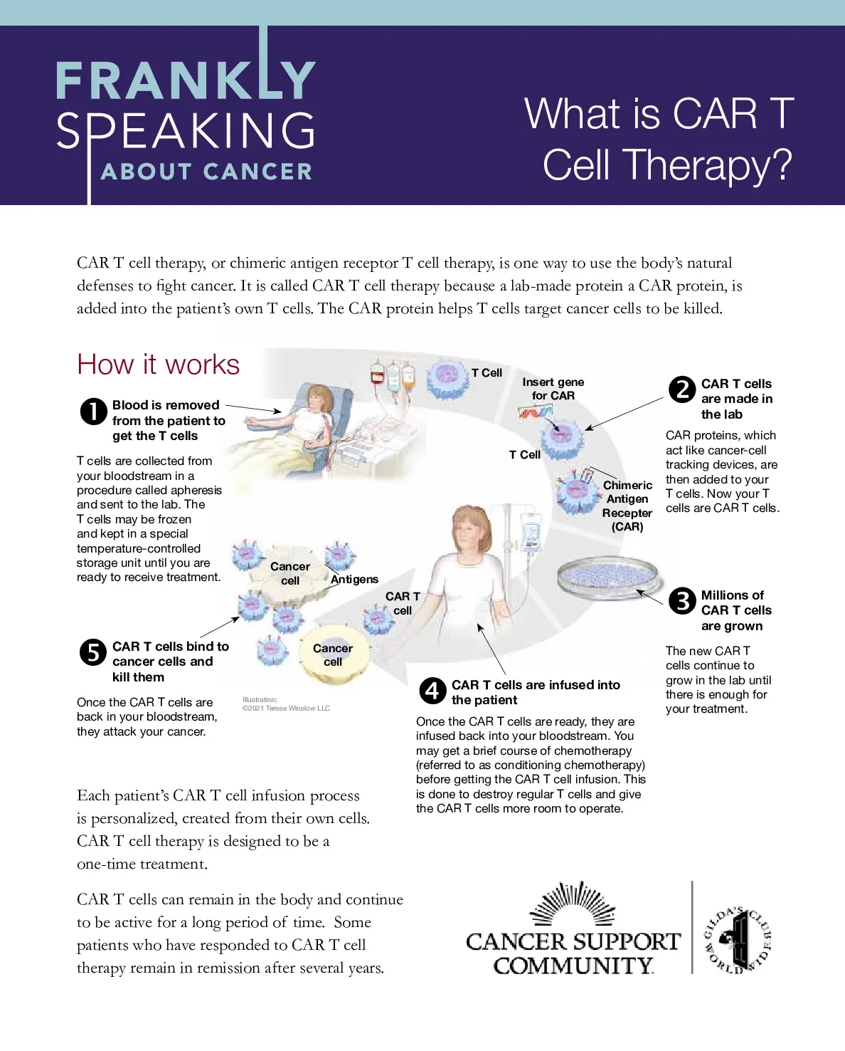 What is CAR T Cell Therapy