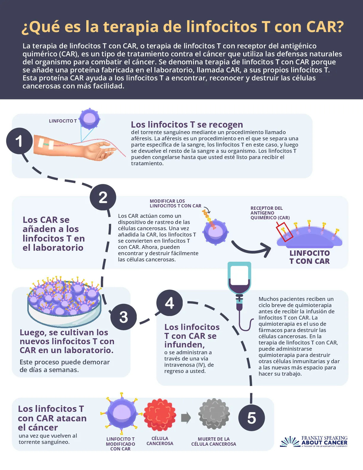 &iquest;Qu&eacute; es la terapia de linfocitos T con CAR?