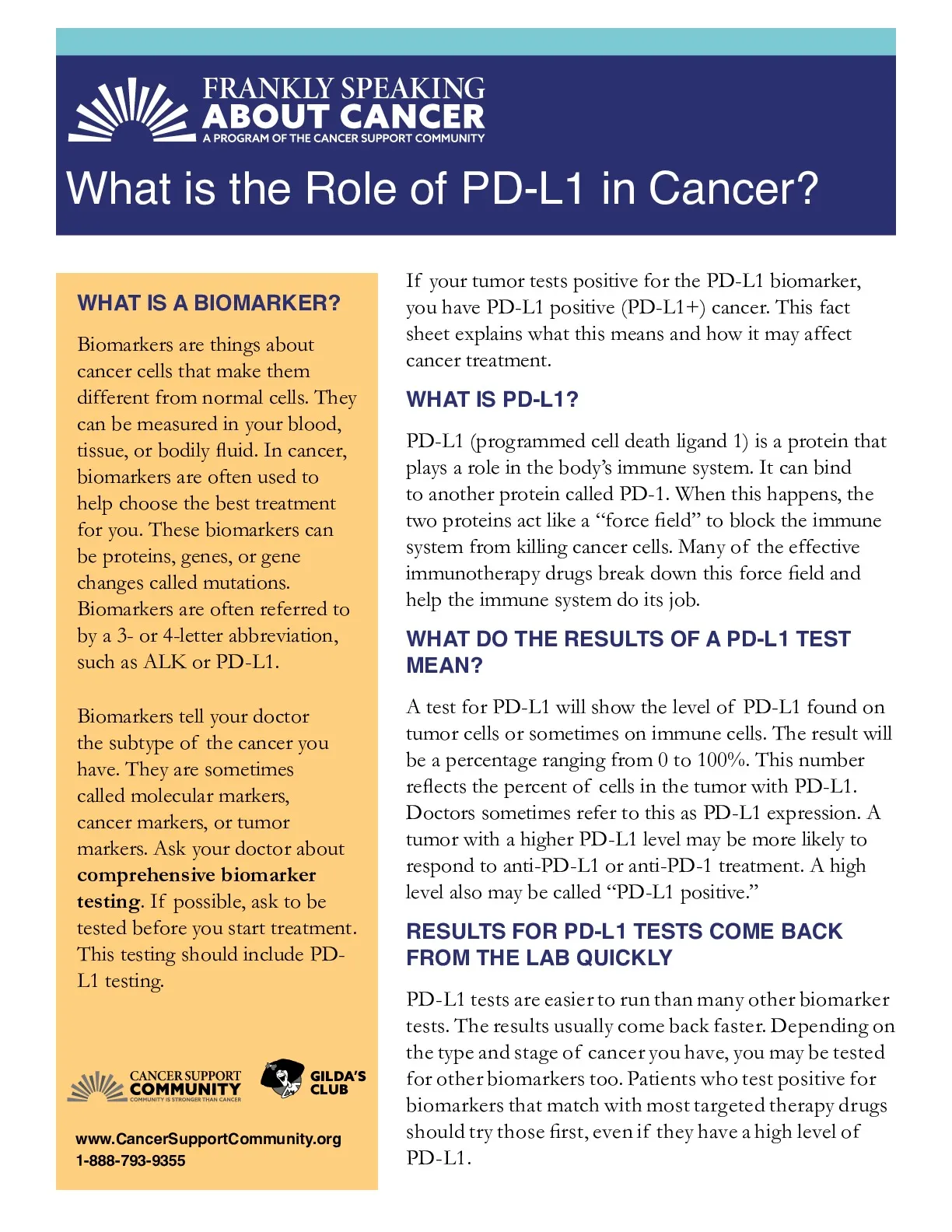 What Is the Role of PD-L1 in Cancer?