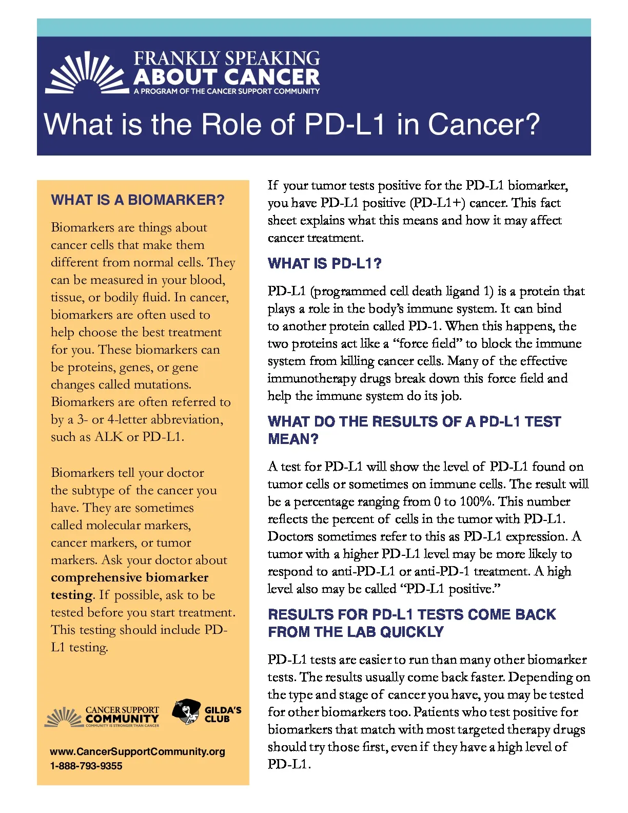 What Is the Role of PD-L1 in Cancer?