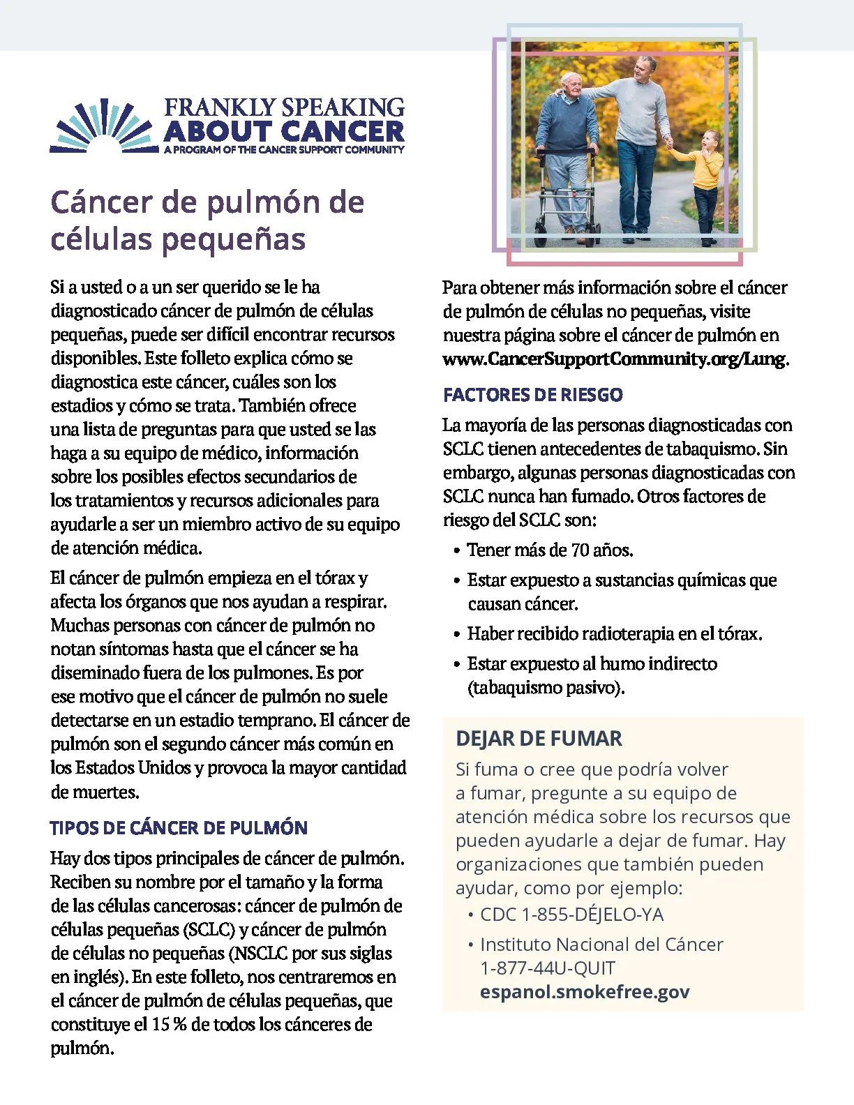 Cáncer de pulmón de células pequeñas