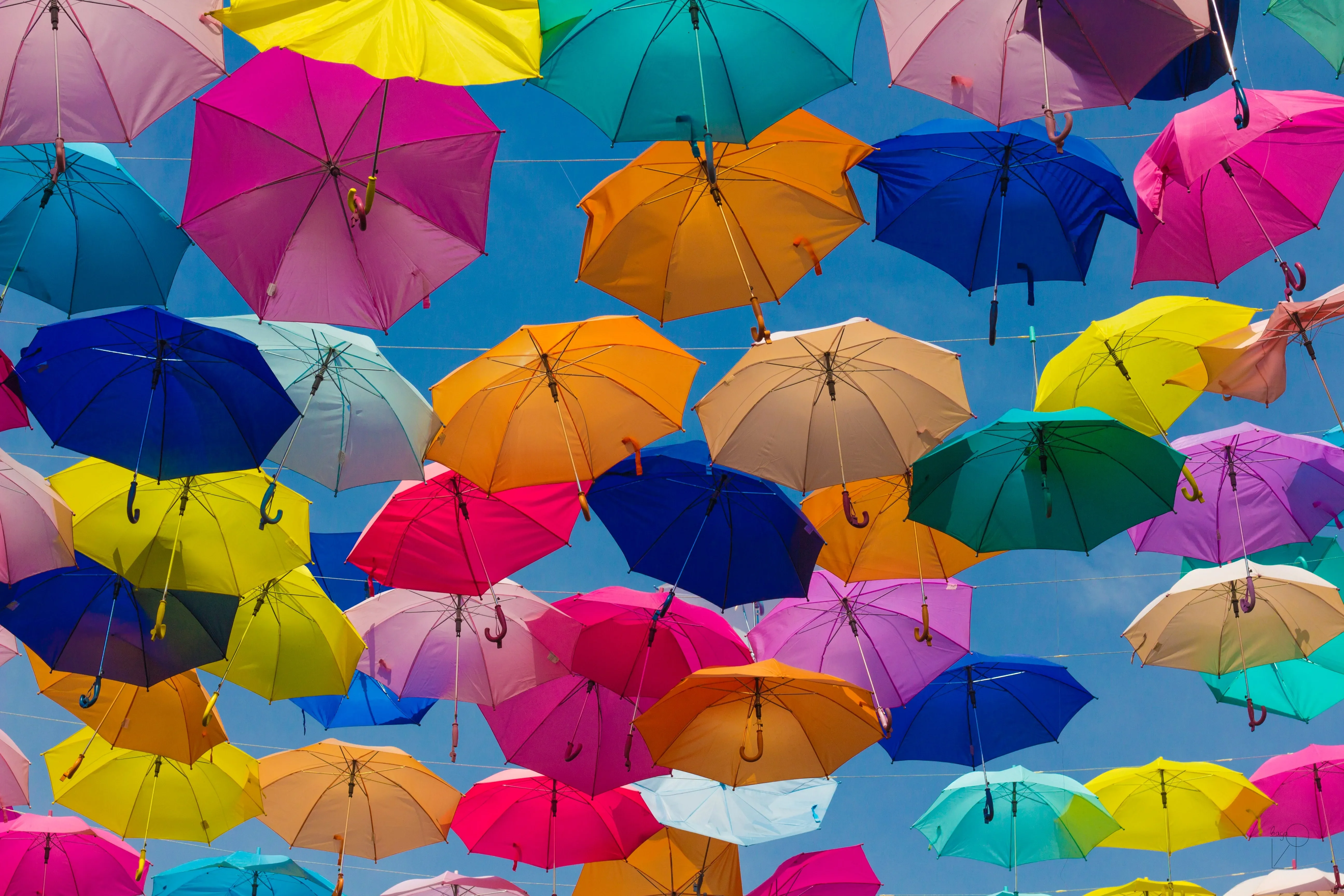 Colorful umbrellas strung up in the sky