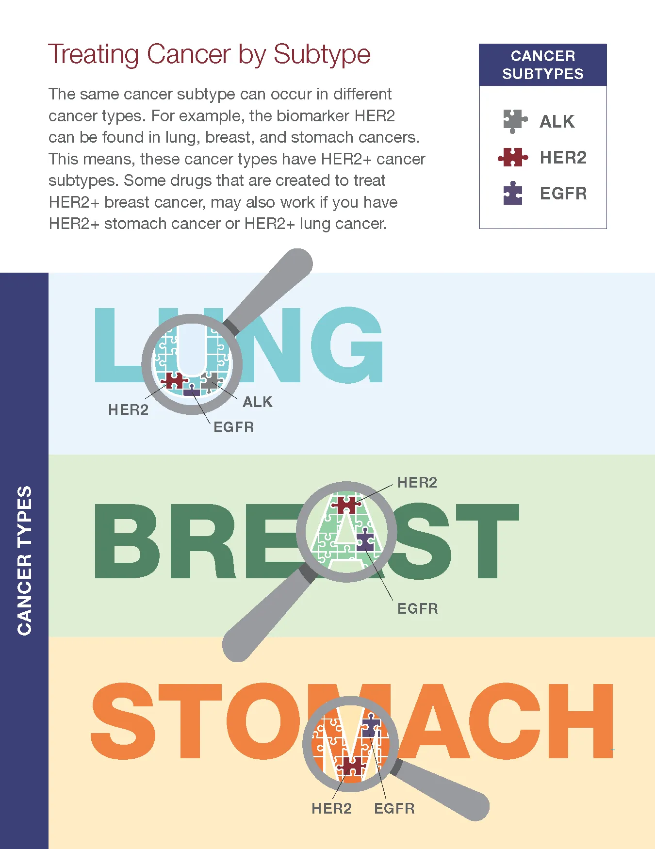 Treating cancer by subtype infographic