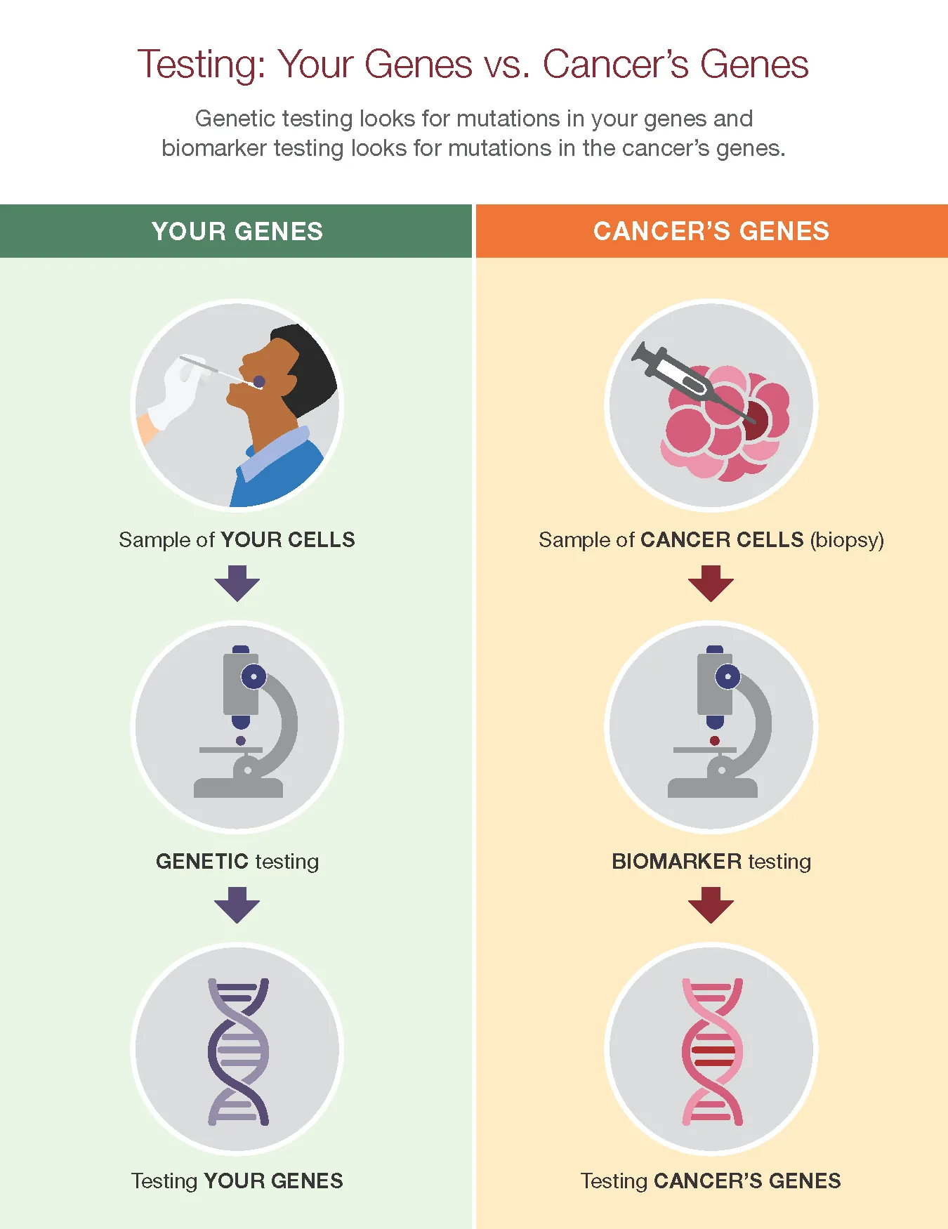 Testing your genes vs cancer genes infographic