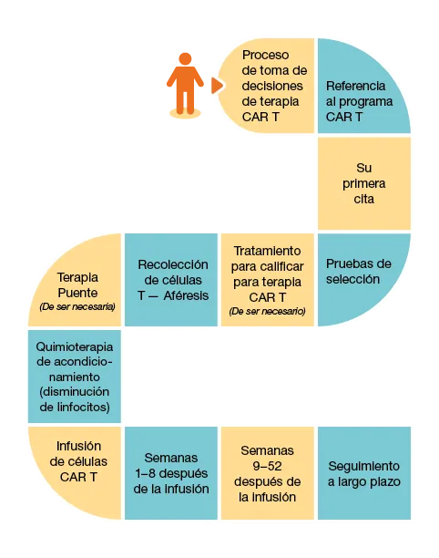 Car T Journey Map en español