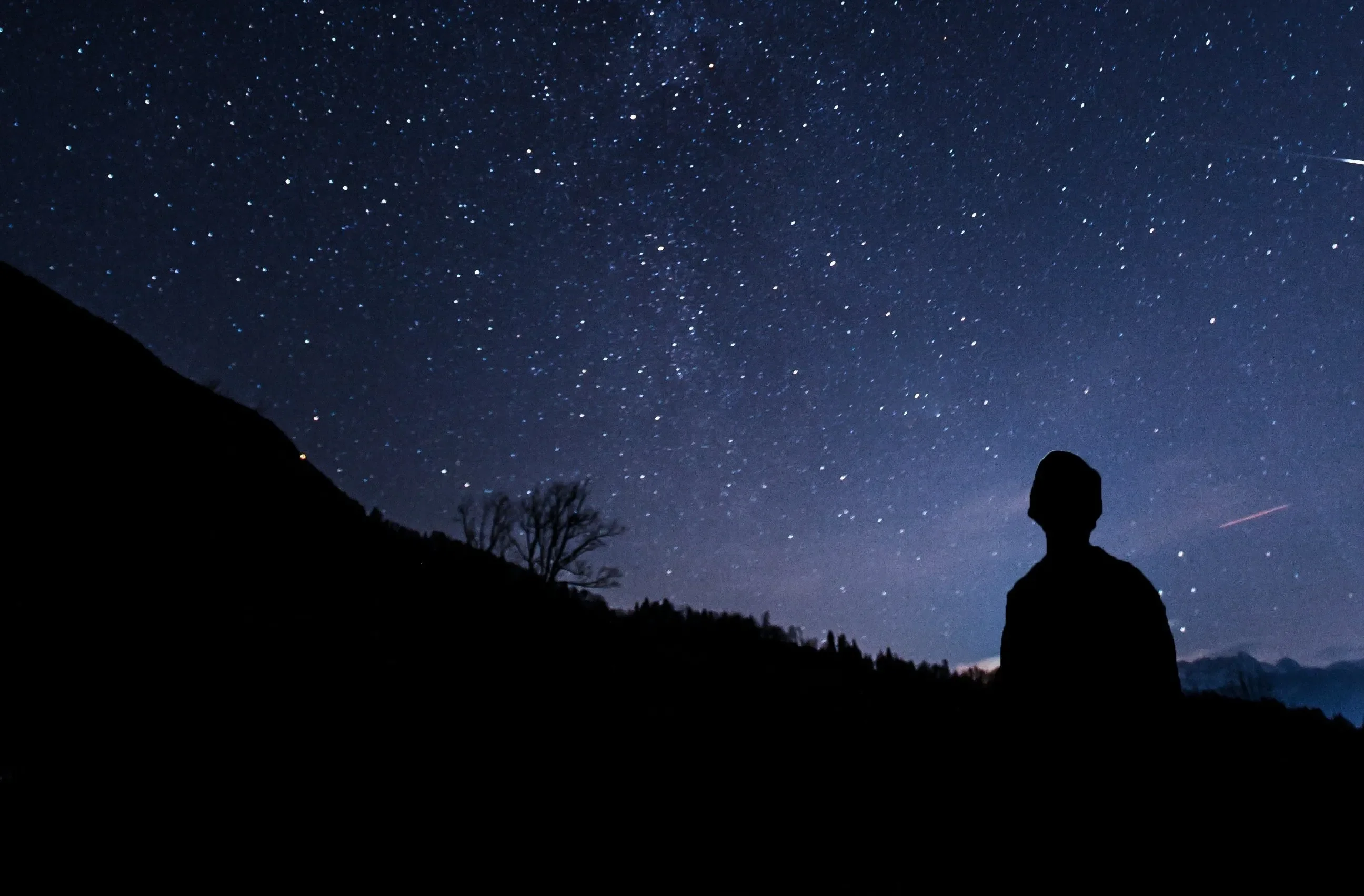 An unseen person stares up at a starlit night sky