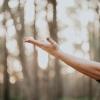 A woman's hand and forearm lift skyward in an outdoor yoga exercise