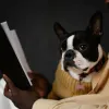 A man sitting with an open book and pet dog in his lap