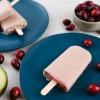 cranberry coconut popsicle 